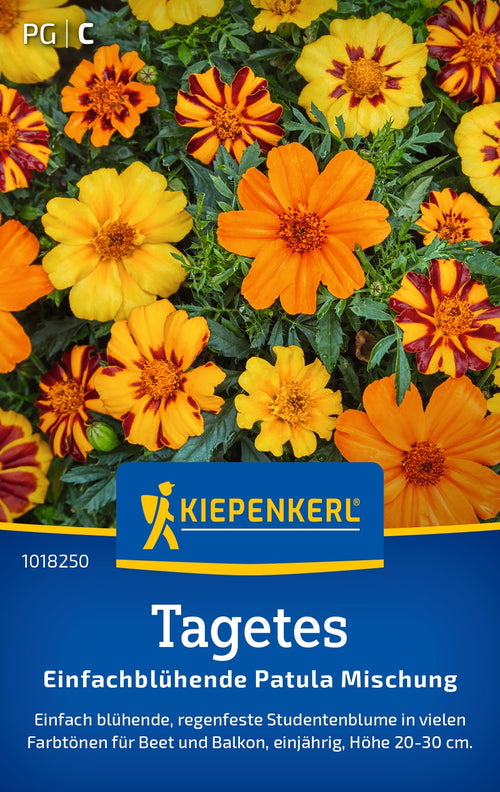 Kiepenkerl Studentenblumen Einfachblühende Patula Mischung