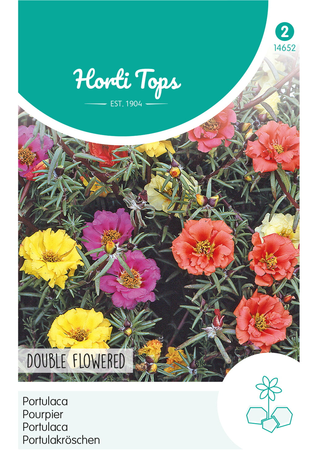 Horti Tops Portulakröschen Grandiflora Gefüllte Mischung