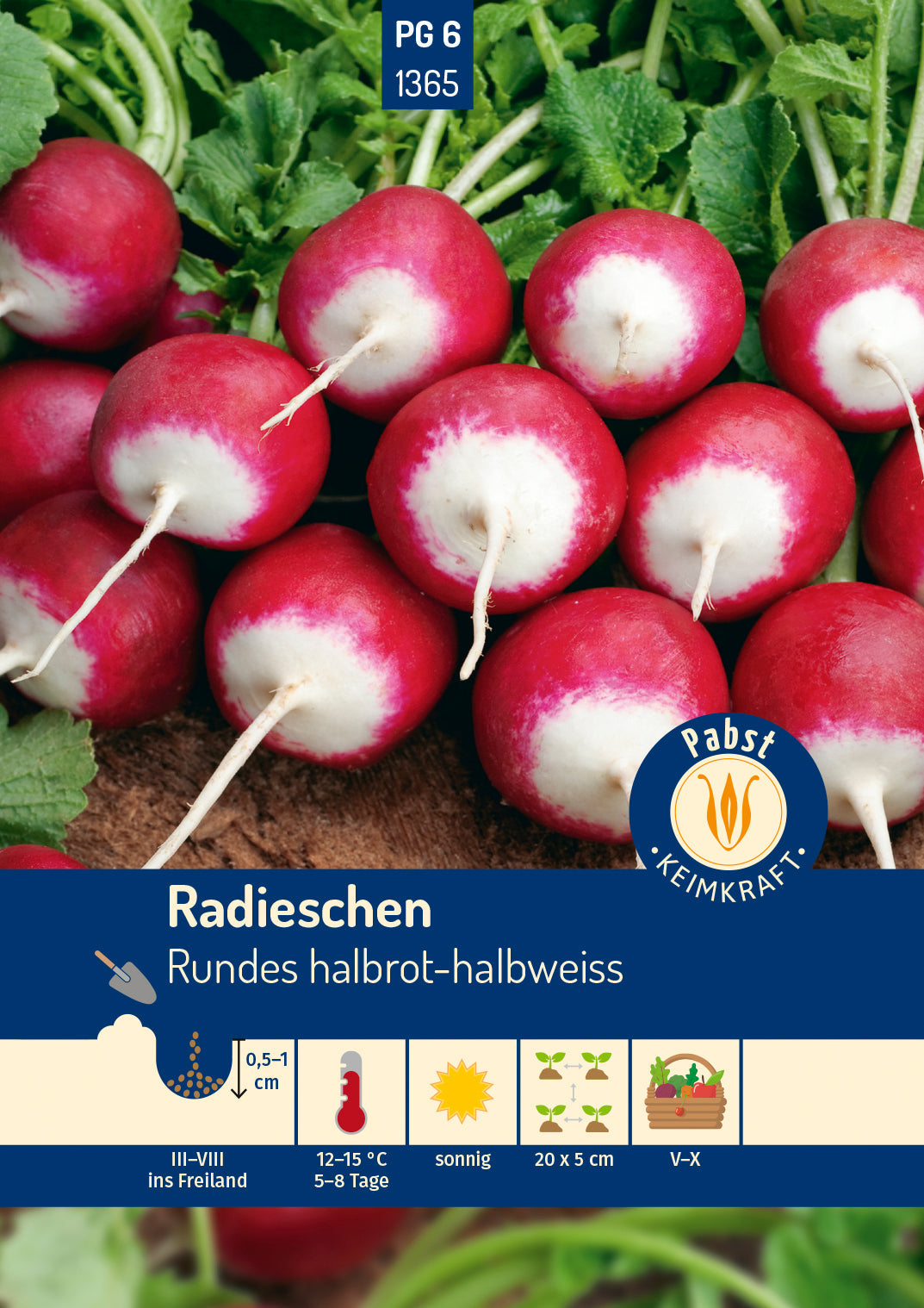 Pabst Keimkraft Radieschen Rundes halbrot-halbweiss