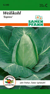 Samen Pfann Weißkohl Express