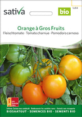 Sativa Fleischtomate Orange à Gros Fruits