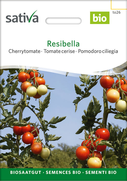 Sativa Cherrytomate Resibella