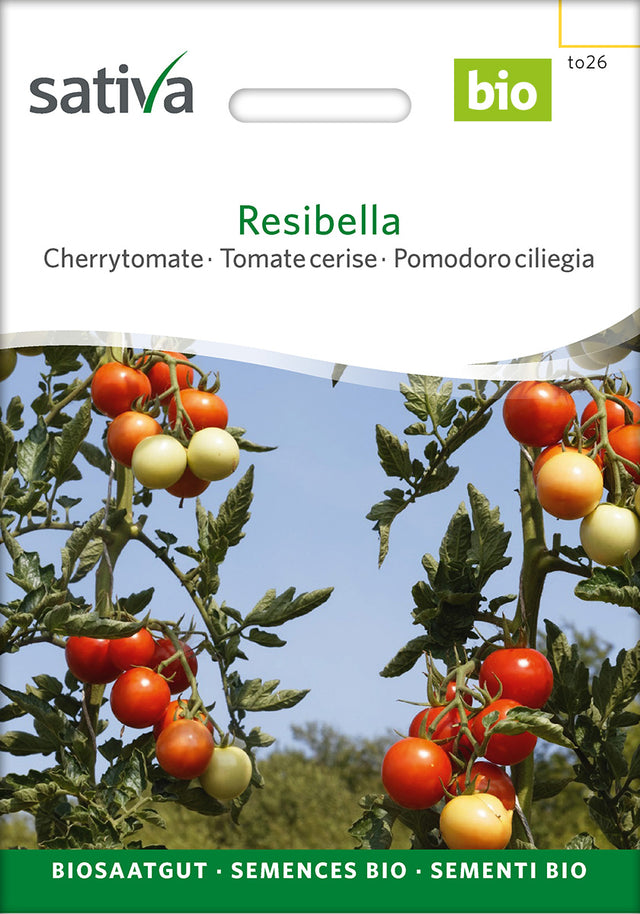 Sativa Cherrytomate Resibella