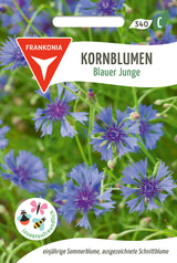 Frankonia Samen Kornblumen Blauer Junge