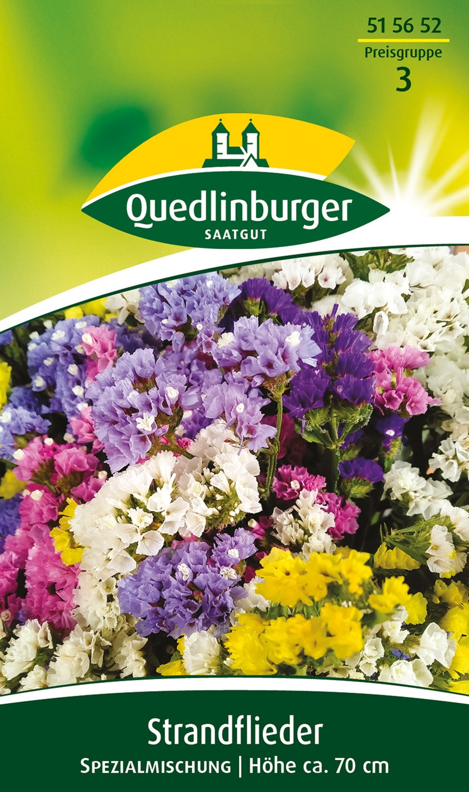 Quedlinburger Strandflieder für Florsitik Spezialmischung