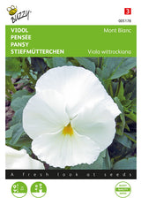 Buzzy Seeds Stiefmütterchen Mont Blanc