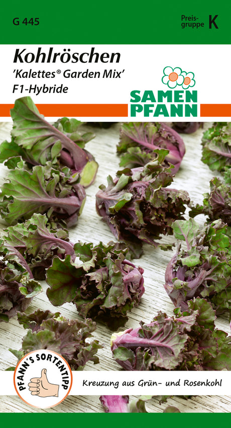 Samen Pfann Kohlröschen Kalettes® Garden Mix