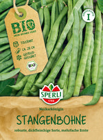 SPERLI BIO Stangenbohne Neckarkönigin