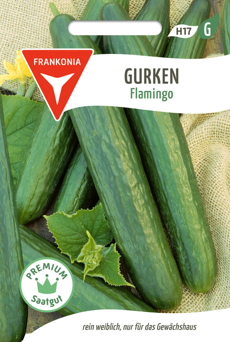 Frankonia Samen Salatgurken Flamingo