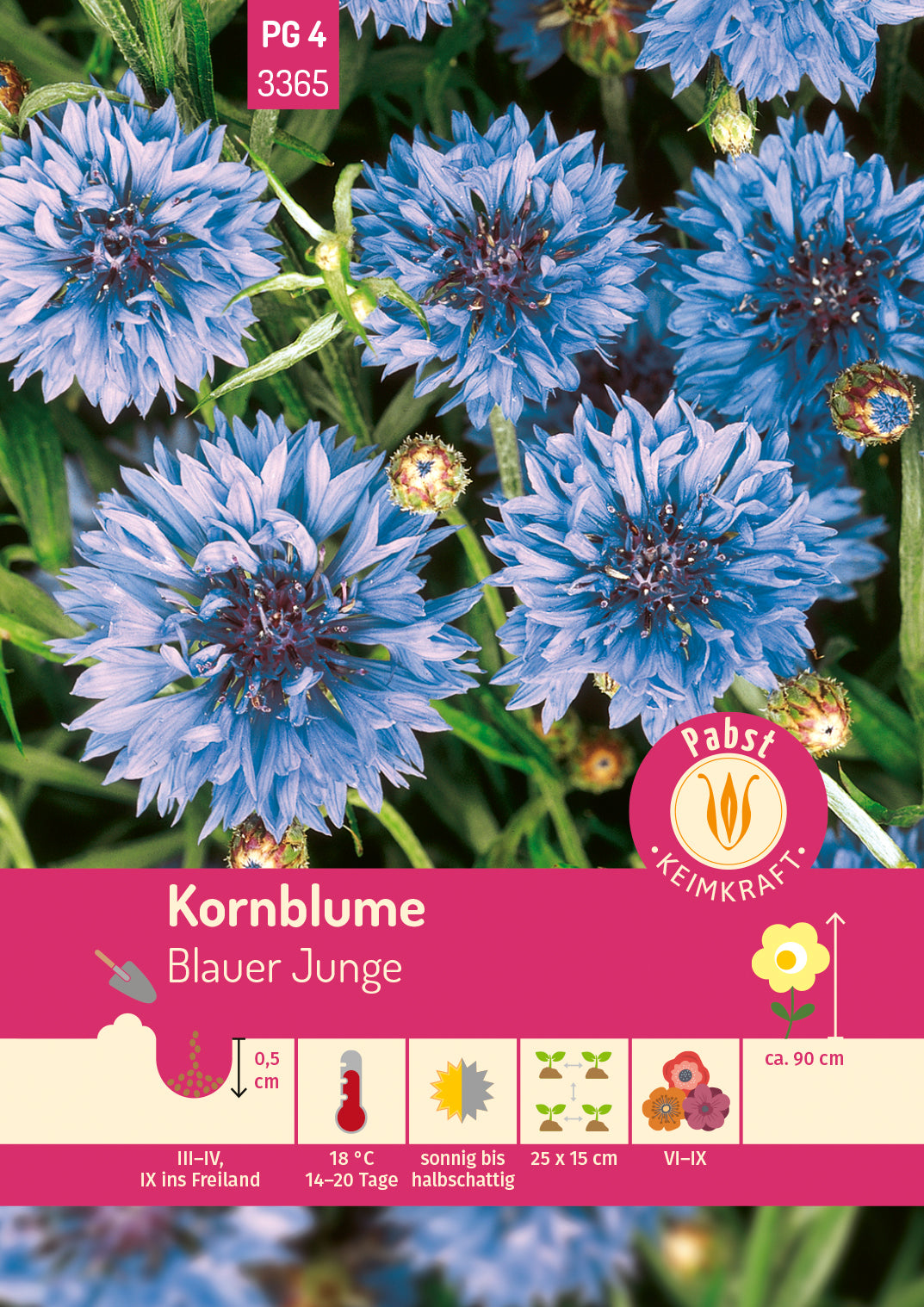 Pabst Keimkraft Kornblumen Blauer Junge