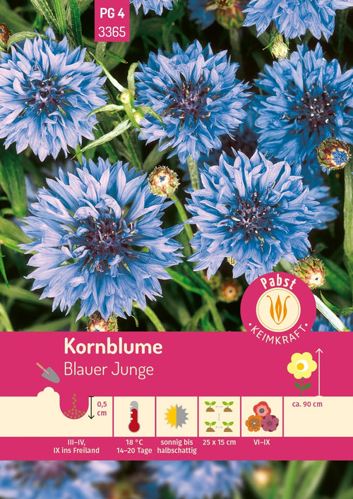 Pabst Keimkraft Kornblumen Blauer Junge