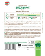 SPERLI Buschbohne Maxi