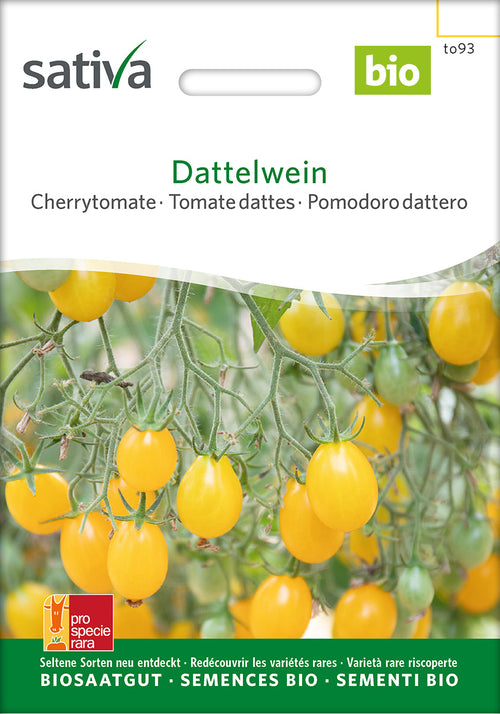 Sativa Cherrytomate Dattelwein