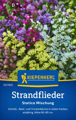 Kiepenkerl Strandflieder Statice Mischung