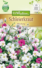 N.L. Chrestensen Gypsophila, einj. Schleierkraut, einjährig, Mischung