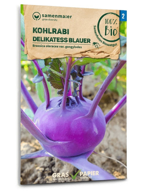 Samen Maier BIO Kohlrabi Delikatess blauer