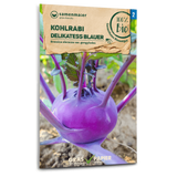 Samen Maier BIO Kohlrabi Delikatess blauer