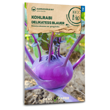 Samen Maier BIO Kohlrabi Delikatess blauer