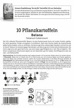 Kiepenkerl Pflanzkartoffel Belana 10 Stück