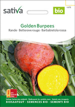 Sativa Rande Golden Burpees