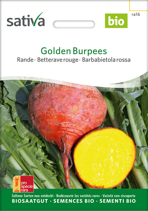 Sativa Rande Golden Burpees