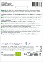 Sativa Federkohl / Grünkohl Babykale