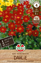SPERLI Dahlie Dahlie Topmix Red