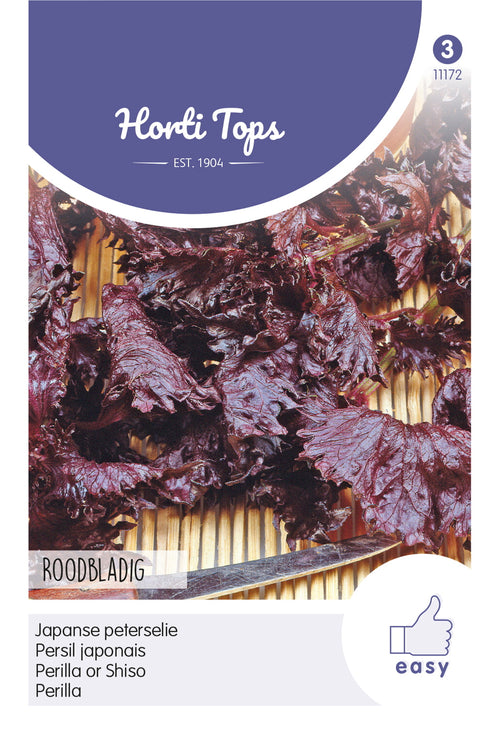 Horti Tops Perilla Violettblättrig