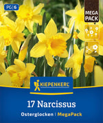 Mega-Pack Narzissen Osterglocken