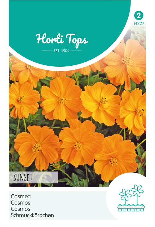 Horti Tops Kosmee Sulphureus Sunset, Orange