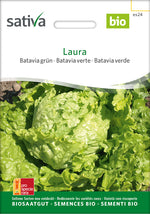 Sativa Bataviasalat grün Laura