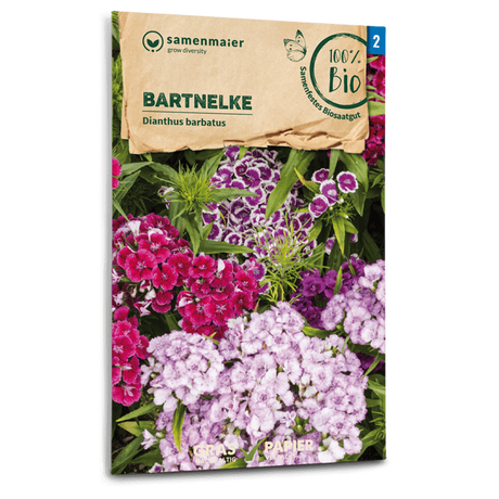 Samen Maier BIO Bartnelke einfache Mischung