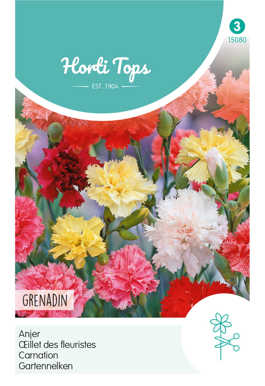 Horti Tops Gartennelke Grenadin Gefüllte Mischung