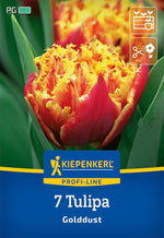 Profi-Line Gefranste gefüllte Tulpe Queensland