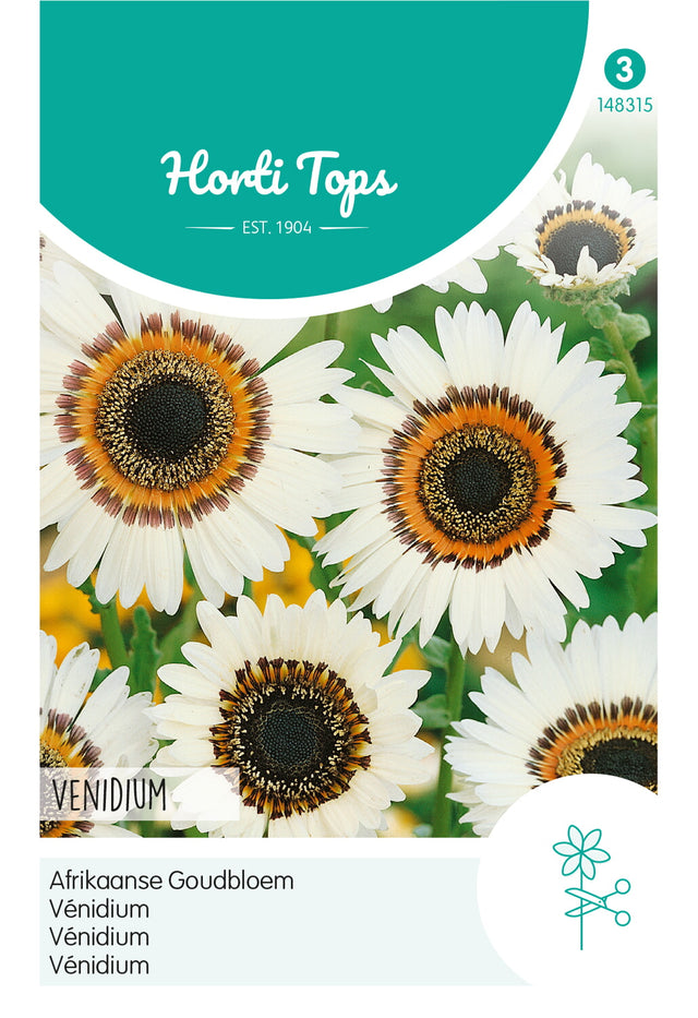Horti Tops Venidium Fastuosum