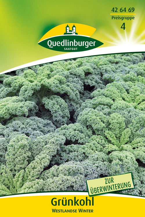 Quedlinburger Grünkohl Westlandse Winter