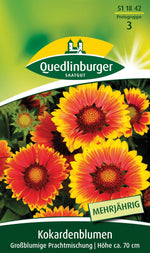 Quedlinburger Kokardenblume großblumige Prachtmischung
