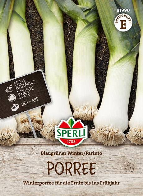 SPERLI Porree Blaugrüner Winter / Farinto