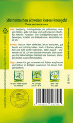 Quedlinburger Stiefmütterchen  Schweizer Riesen Firnengold