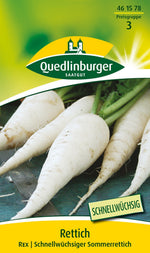Quedlinburger Sommerrettich Rex