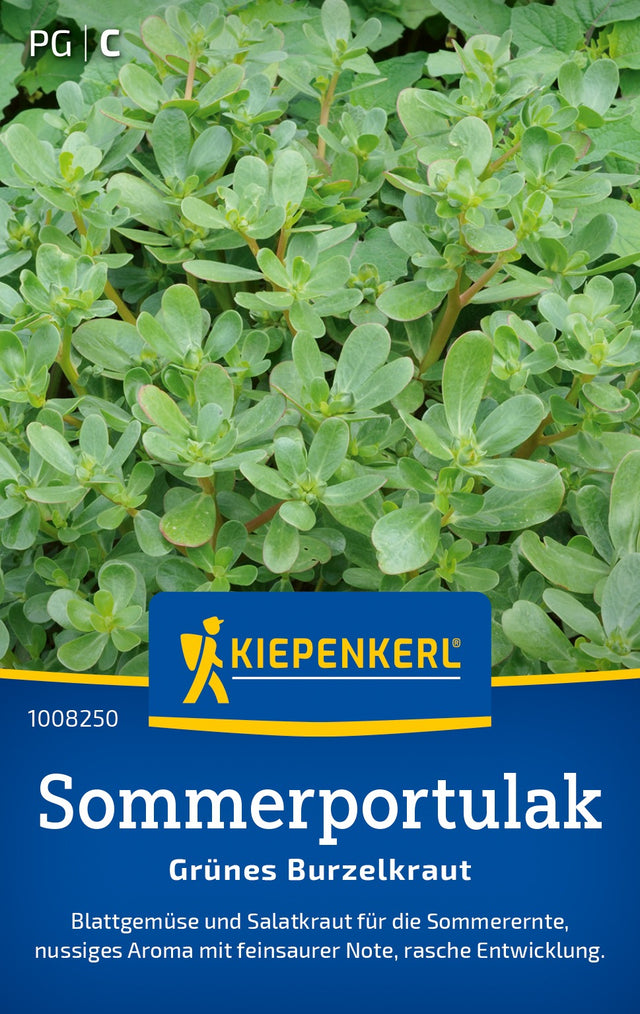 Kiepenkerl Portulak Grünes Burzelkraut
