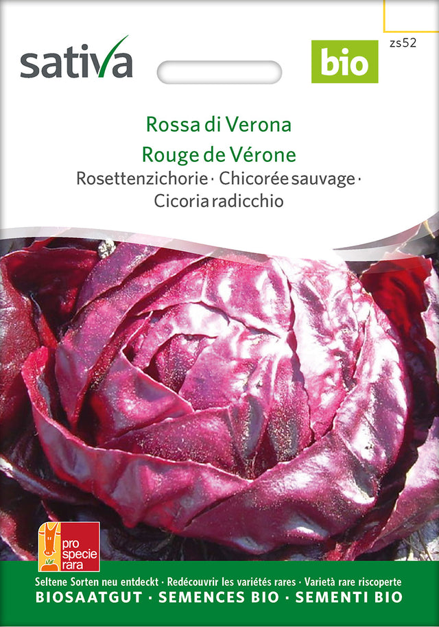 Sativa Rosettenzichorie Rossa di Verona