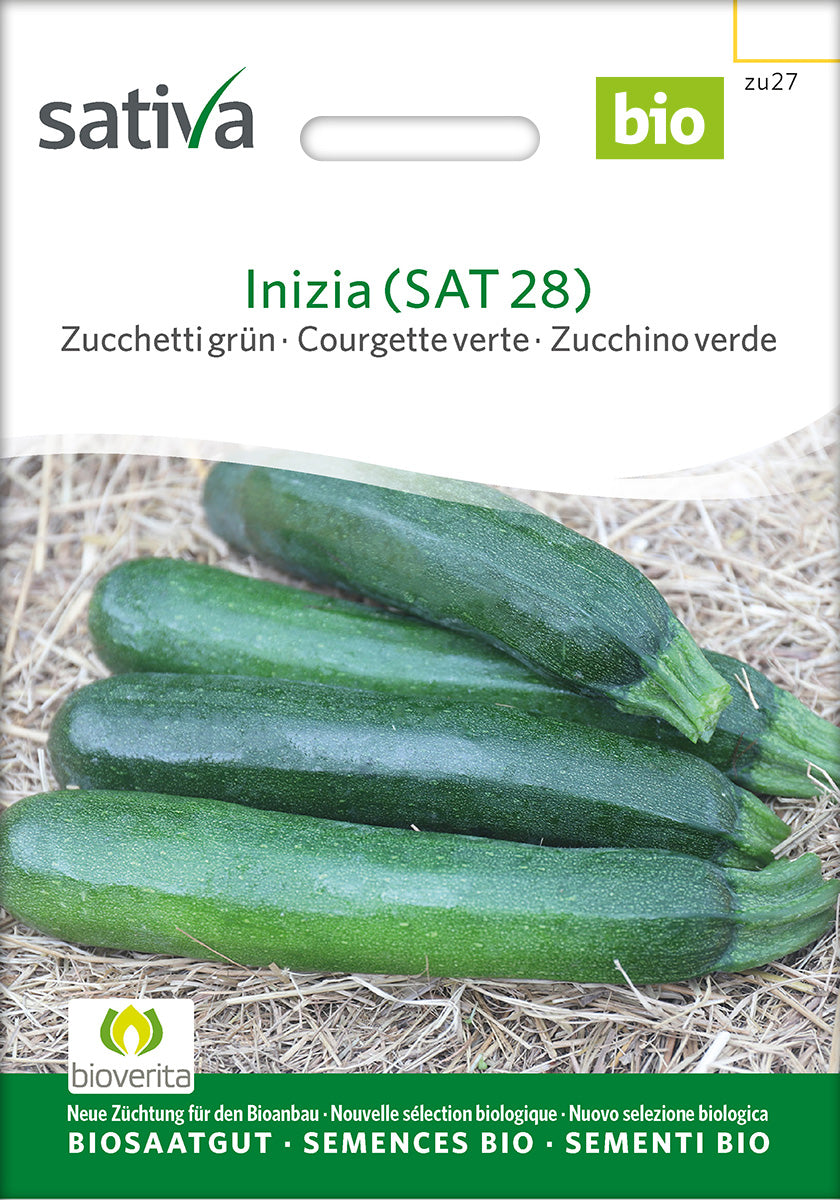 Sativa Zucchetti grün Inizia (SAT 28)