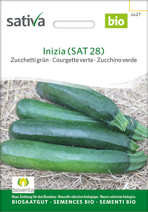 Sativa Zucchetti grün Inizia (SAT 28)