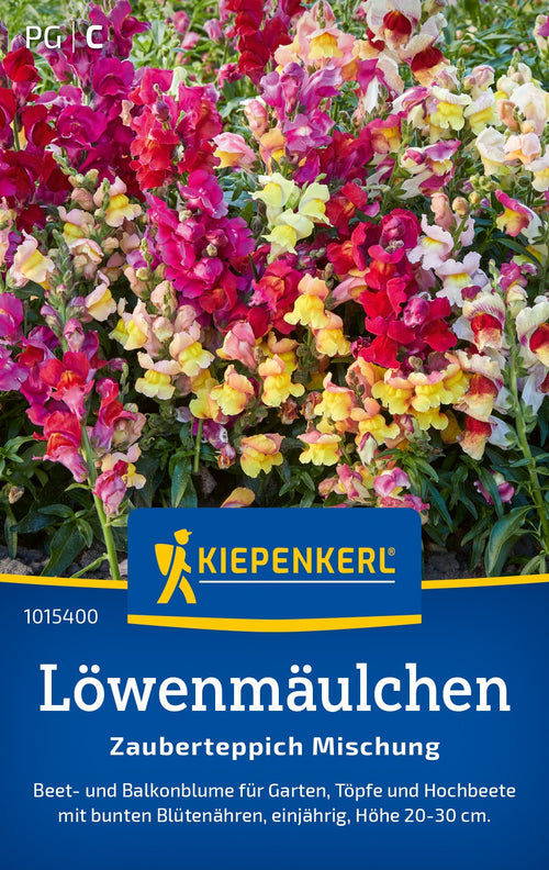 Kiepenkerl Löwenmäulchen Zauberteppich Mischung
