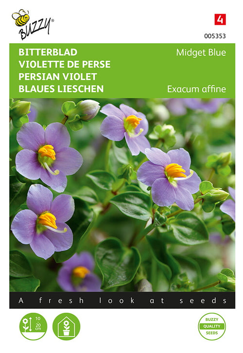 Buzzy Seeds Blaues Lieschen Midget Blue