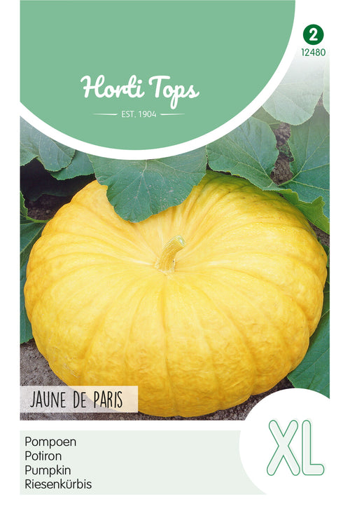 Horti Tops Riesenkürbis Jaune de Paris, Gelber Zentner