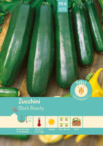 Pabst Keimkraft Zucchini Black Beauty