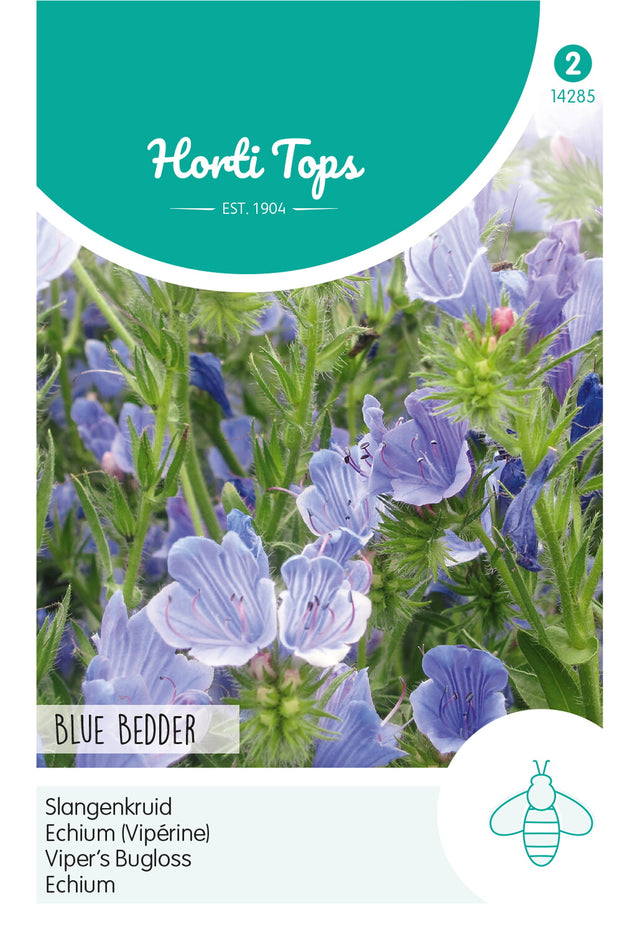 Horti Tops Natternkopf Plantagineum Blue Bedder