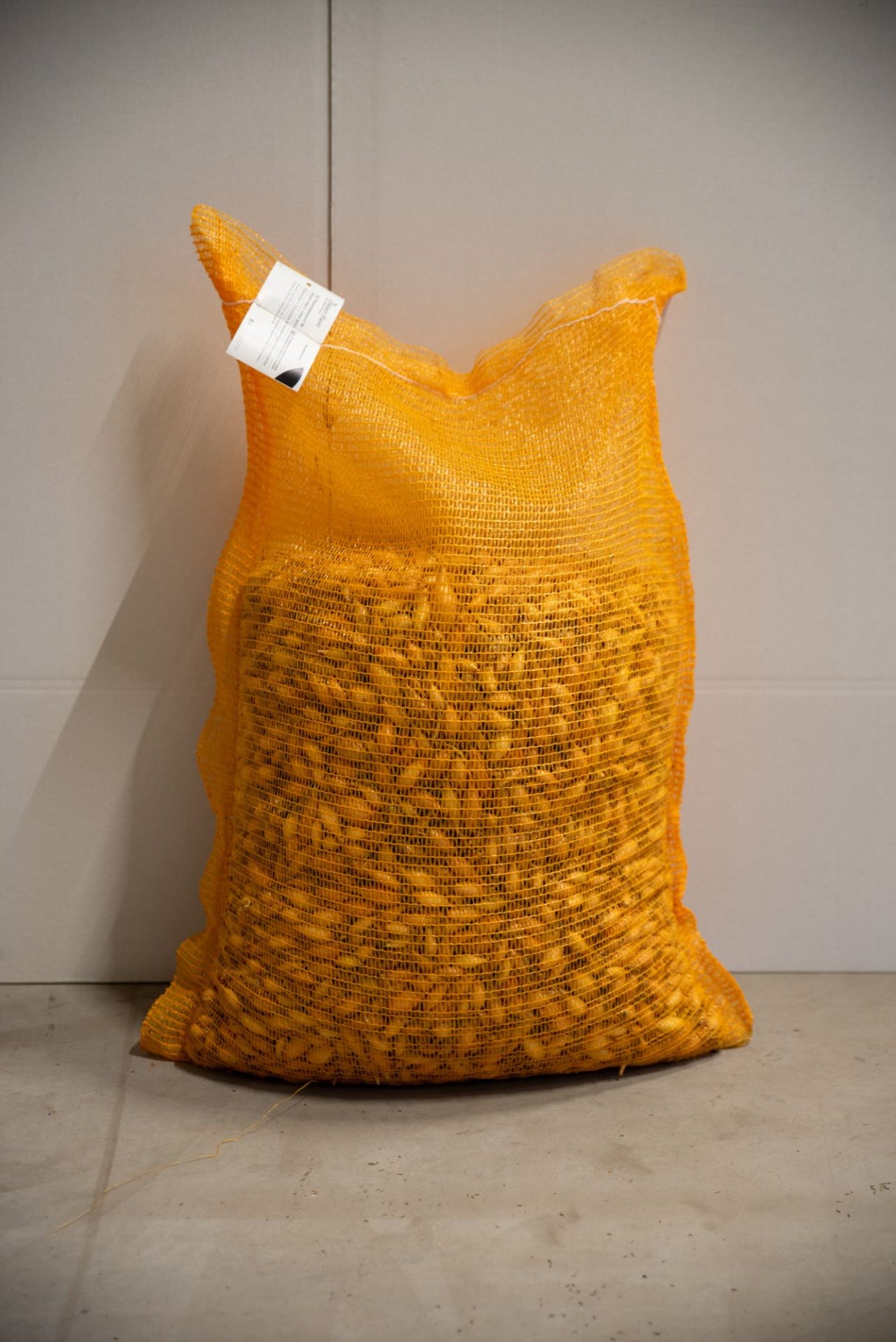 Kiepenkerl Steckzwiebel Birnenförmige 25 kg